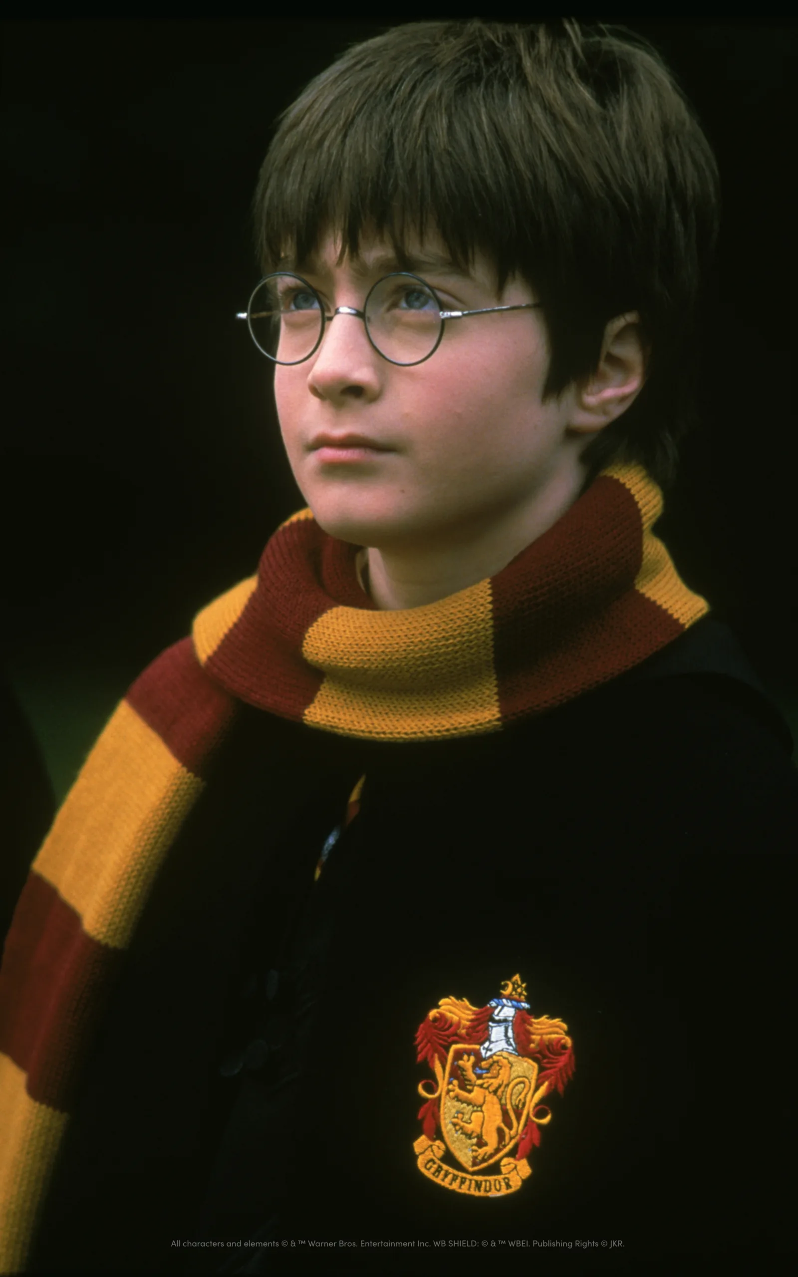 ハリーポッターと賢者の石